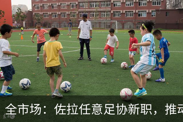 全市场：佐拉任意足协新职，推动意大利青训改革