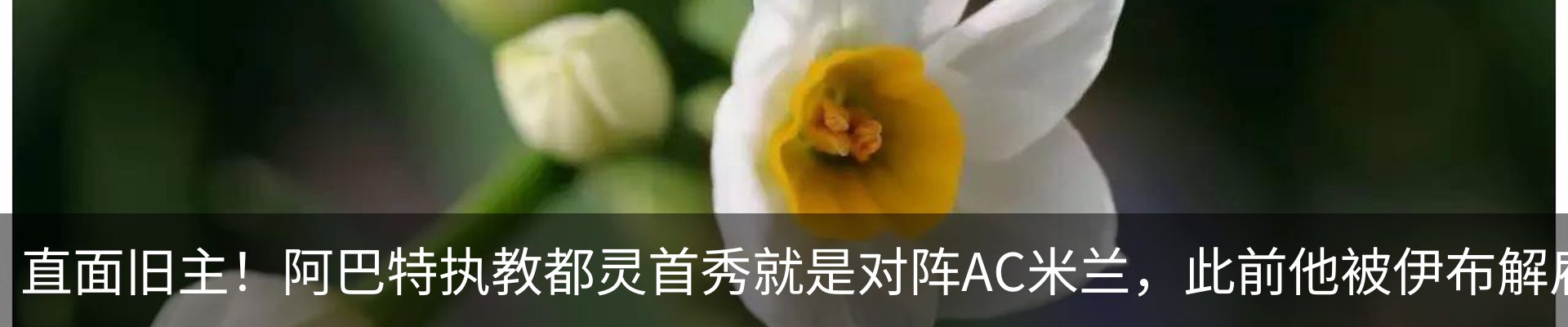资讯中心