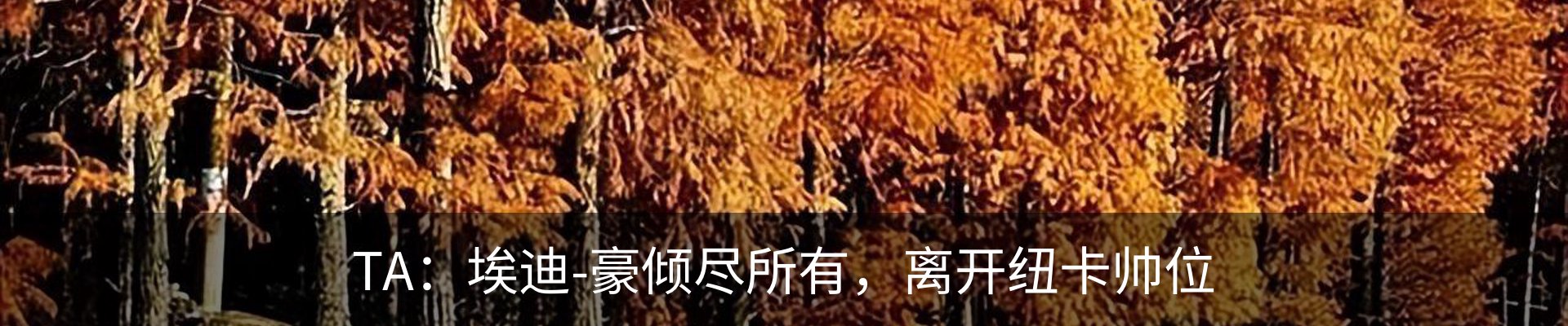 资讯中心